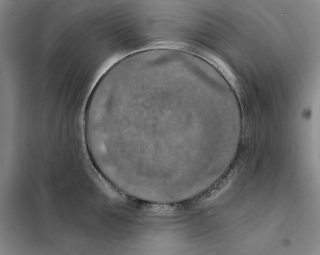 X0000101120907200807241156