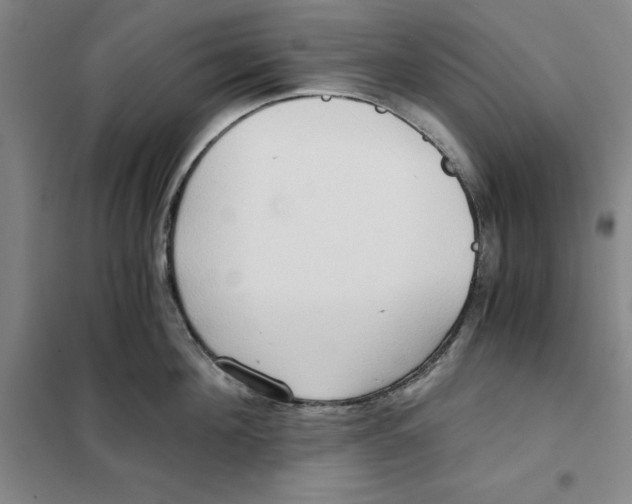 X0000101120908200807241156
