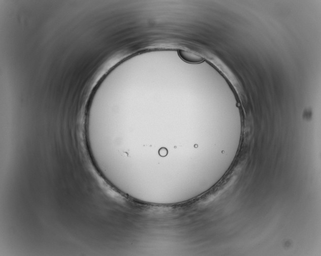 X0000101120909200807241156