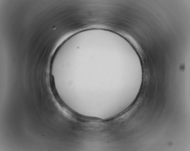 X0000101120910200807241156