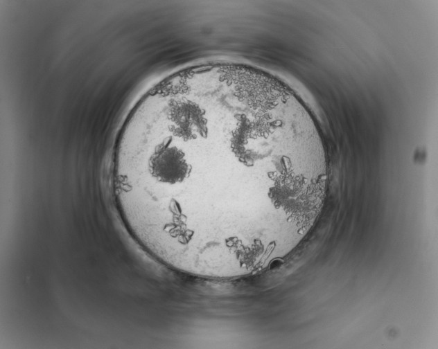 X0000101120911200807241156