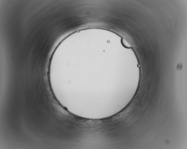 X0000101120912200807241156