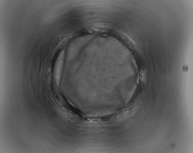 X0000101120915200807241155