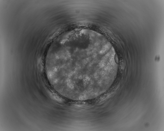 X0000101120916200807241155