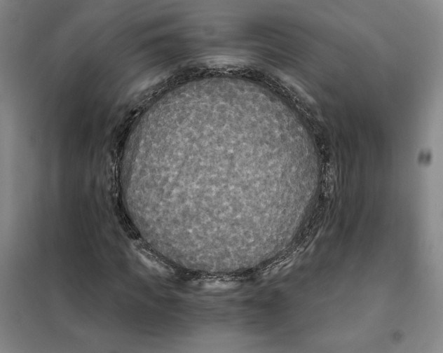 X0000101120917200807241155