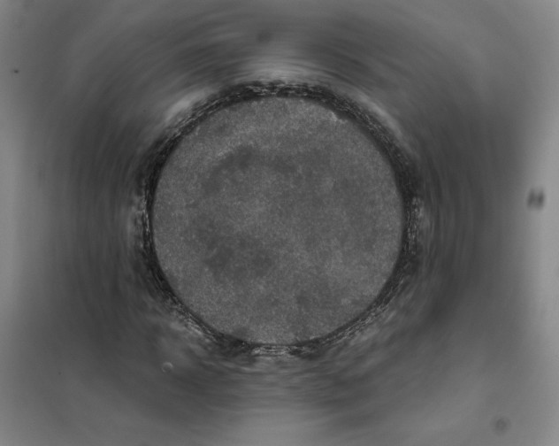X0000101120918200807241155