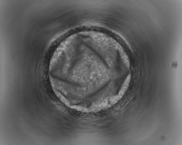X0000101120919200807241155