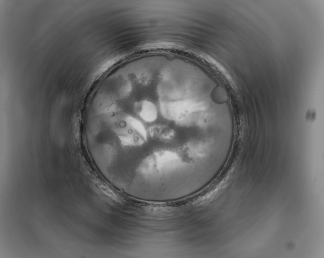 X0000101120921200807241155