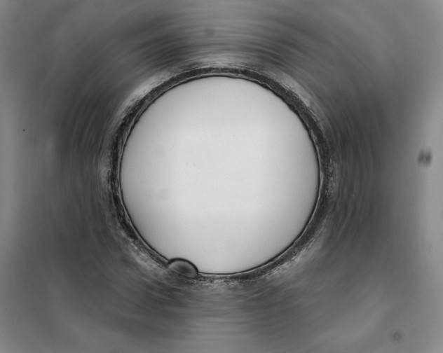 X0000101120922200807241155