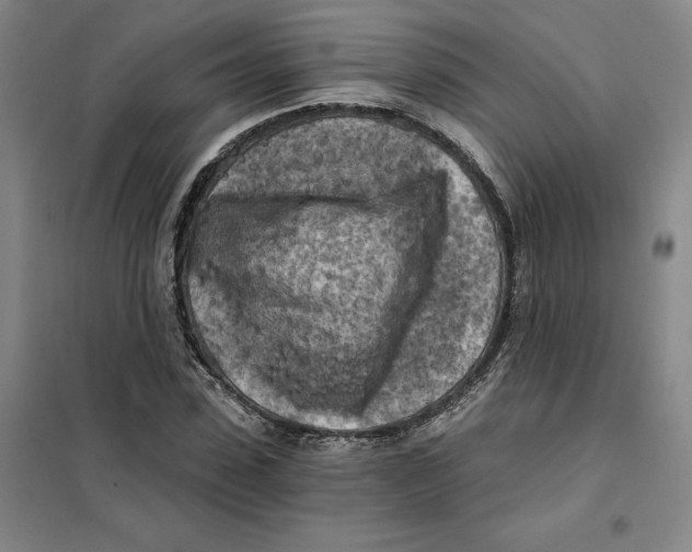 X0000101120923200807241155