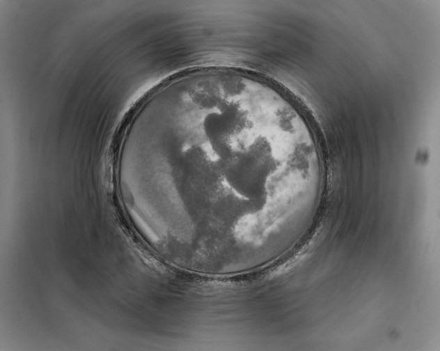 X0000101120925200807241155