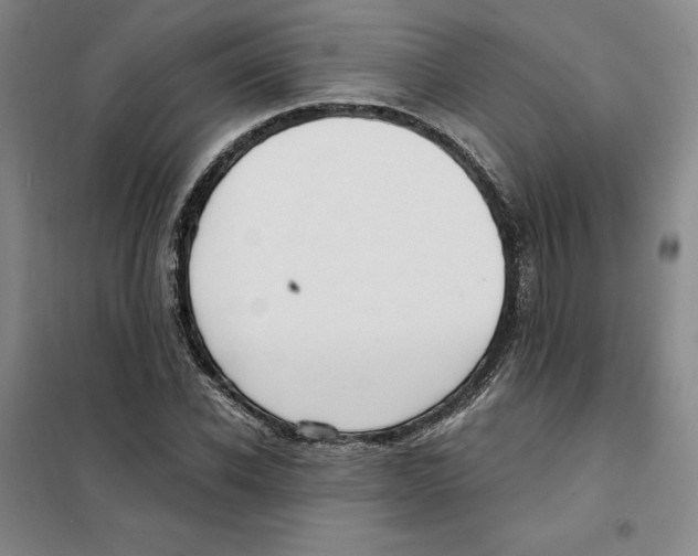 X0000101120926200807241155