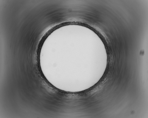 X0000101120927200807241155