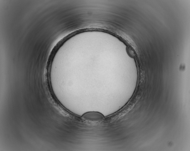 X0000101120928200807241155