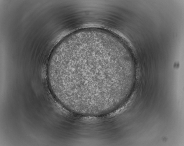 X0000101120929200807241155