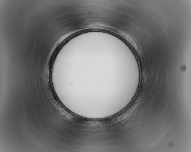 X0000101120931200807241155