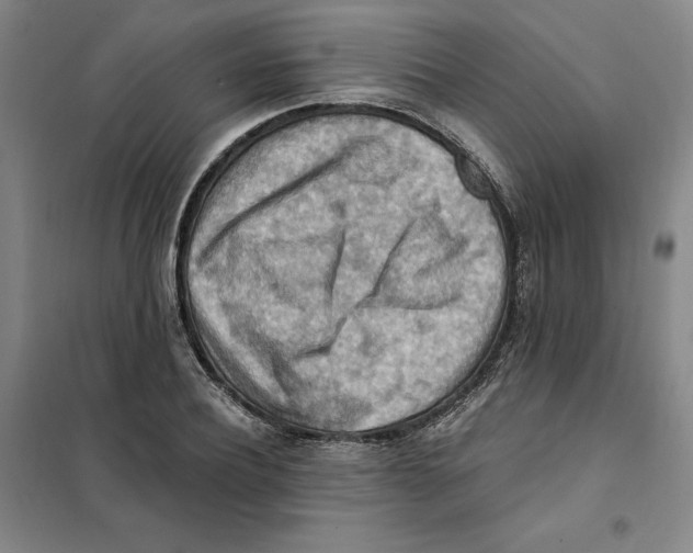 X0000101120932200807241155