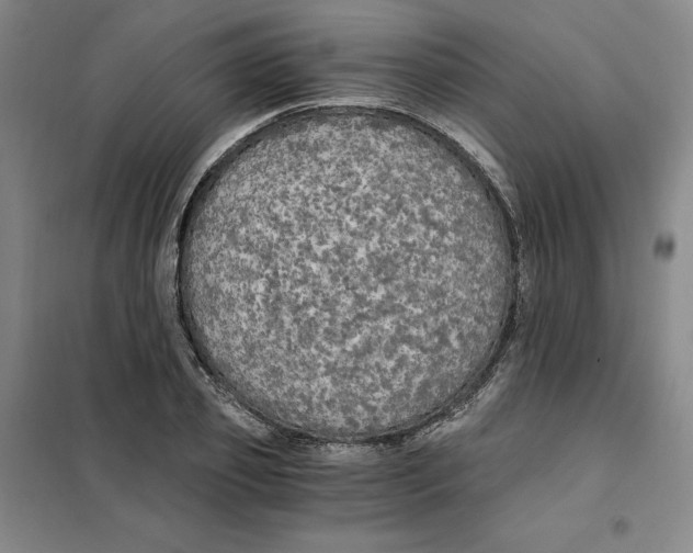 X0000101120933200807241155