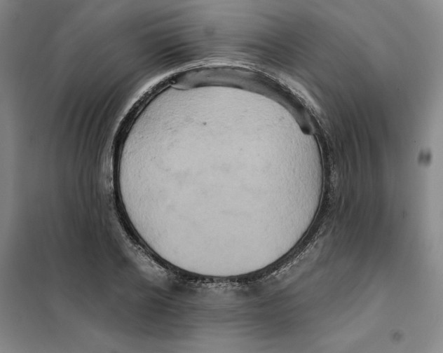 X0000101120934200807241155