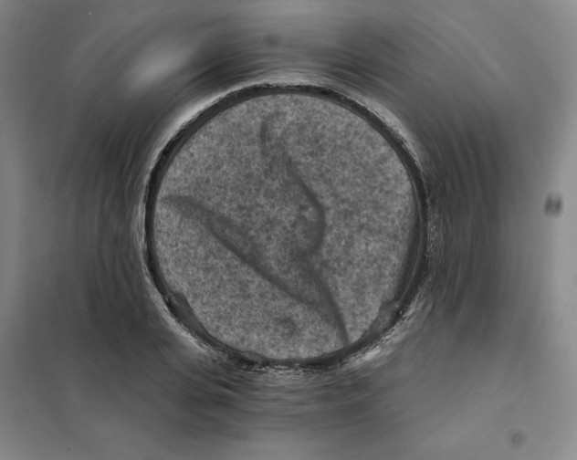 X0000101120935200807241155