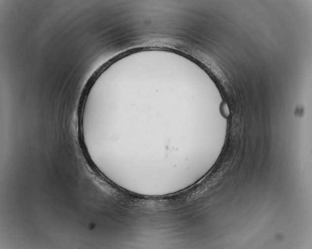 X0000101120936200807241155
