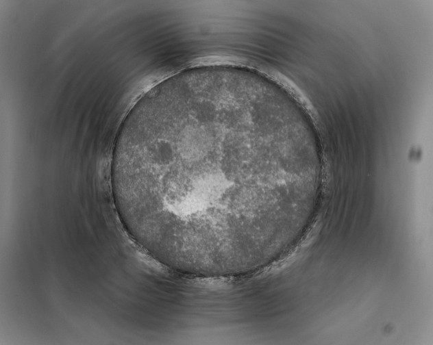 X0000101120937200807241155
