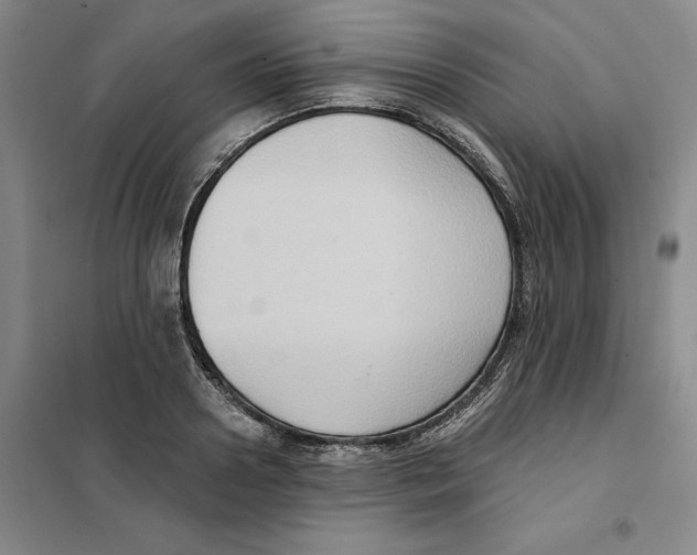 X0000101120938200807241155