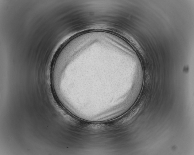 X0000101120939200807241155