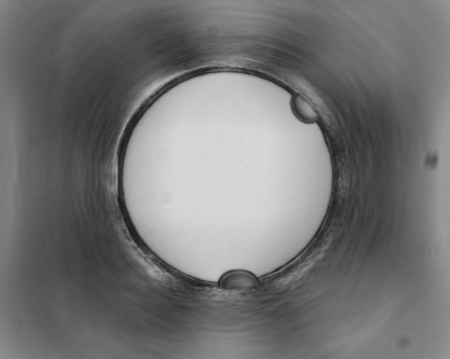 X0000101120940200807241155