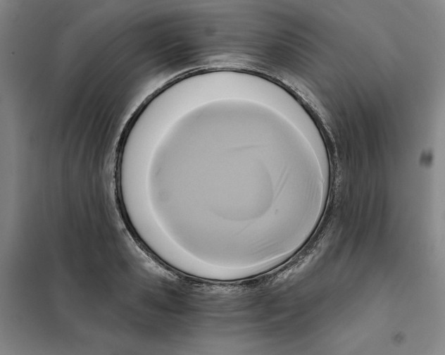 X0000101120941200807241155