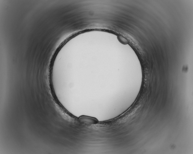X0000101120942200807241155