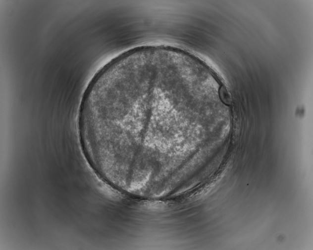 X0000101120943200807241155