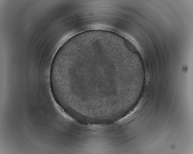 X0000101120946200807241156