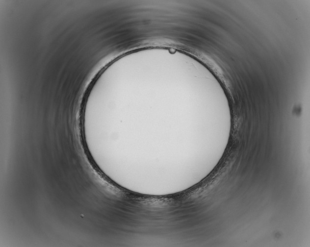 X0000101120947200807241156