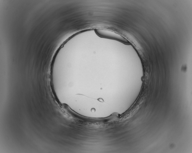 X0000101120948200807241156