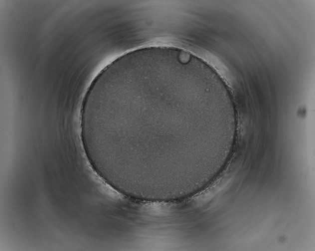 X0000101120950200807241156