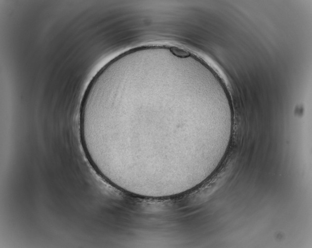 X0000101120951200807241156