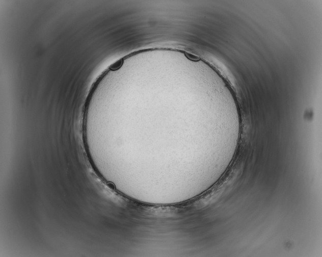 X0000101120952200807241156