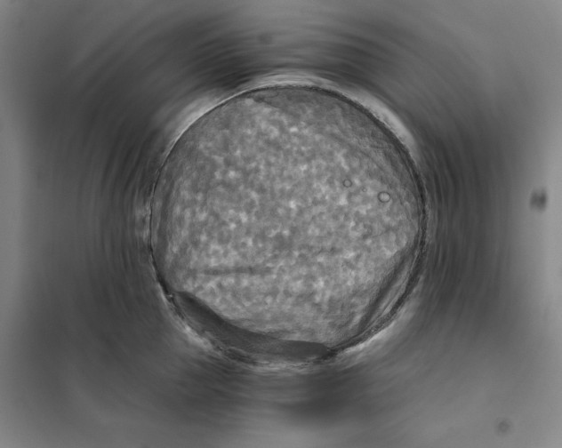 X0000101120953200807241156