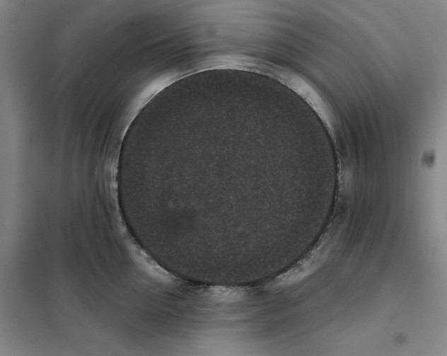 X0000101120954200807241156