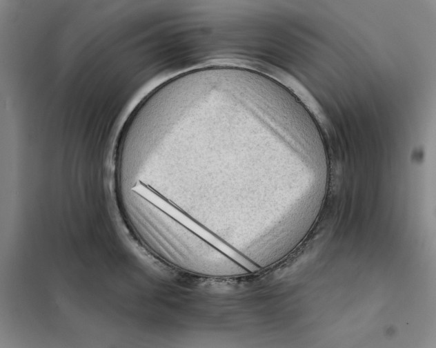 X0000101120955200807241156
