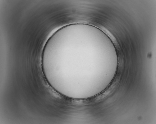 X0000101120956200807241156