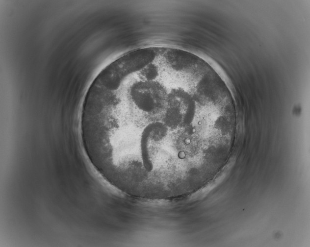 X0000101120957200807241156