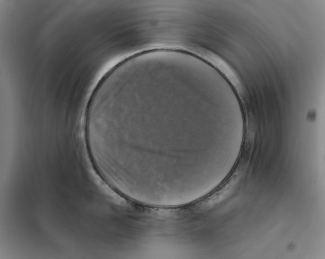 X0000101120958200807241156