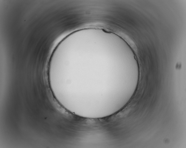 X0000101120960200807241156