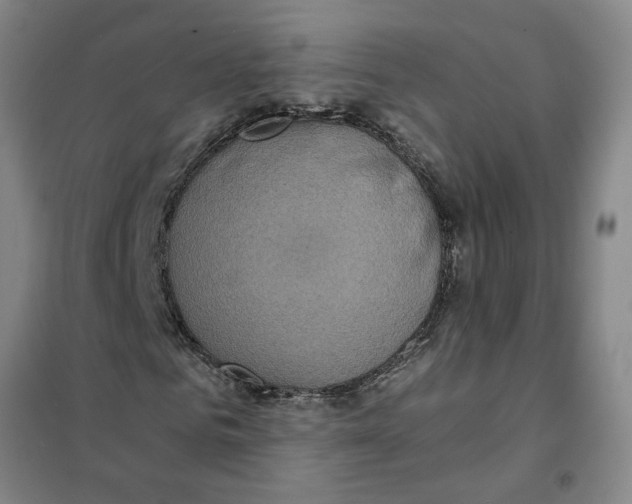 X0000101120961200807241155