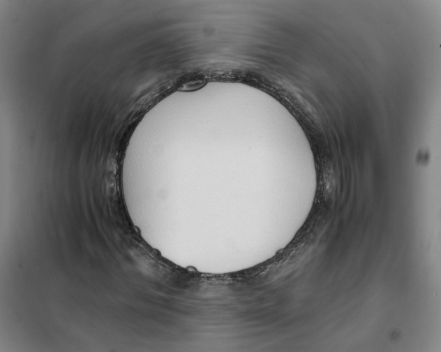 X0000101120964200807241155