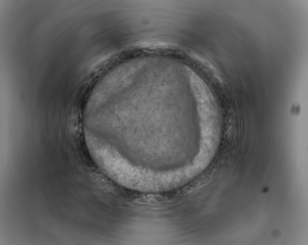 X0000101120966200807241155