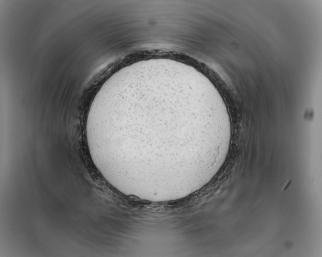 X0000101120967200807241155