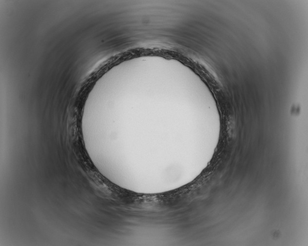 X0000101120968200807241155